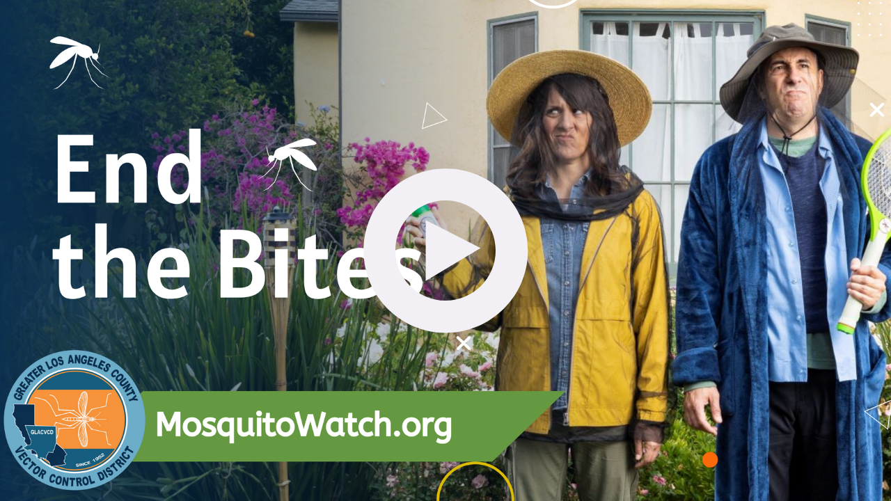 The image promotes mosquito control awareness, encouraging people to "End the Bites" through the Greater Los Angeles County Vector Control District.