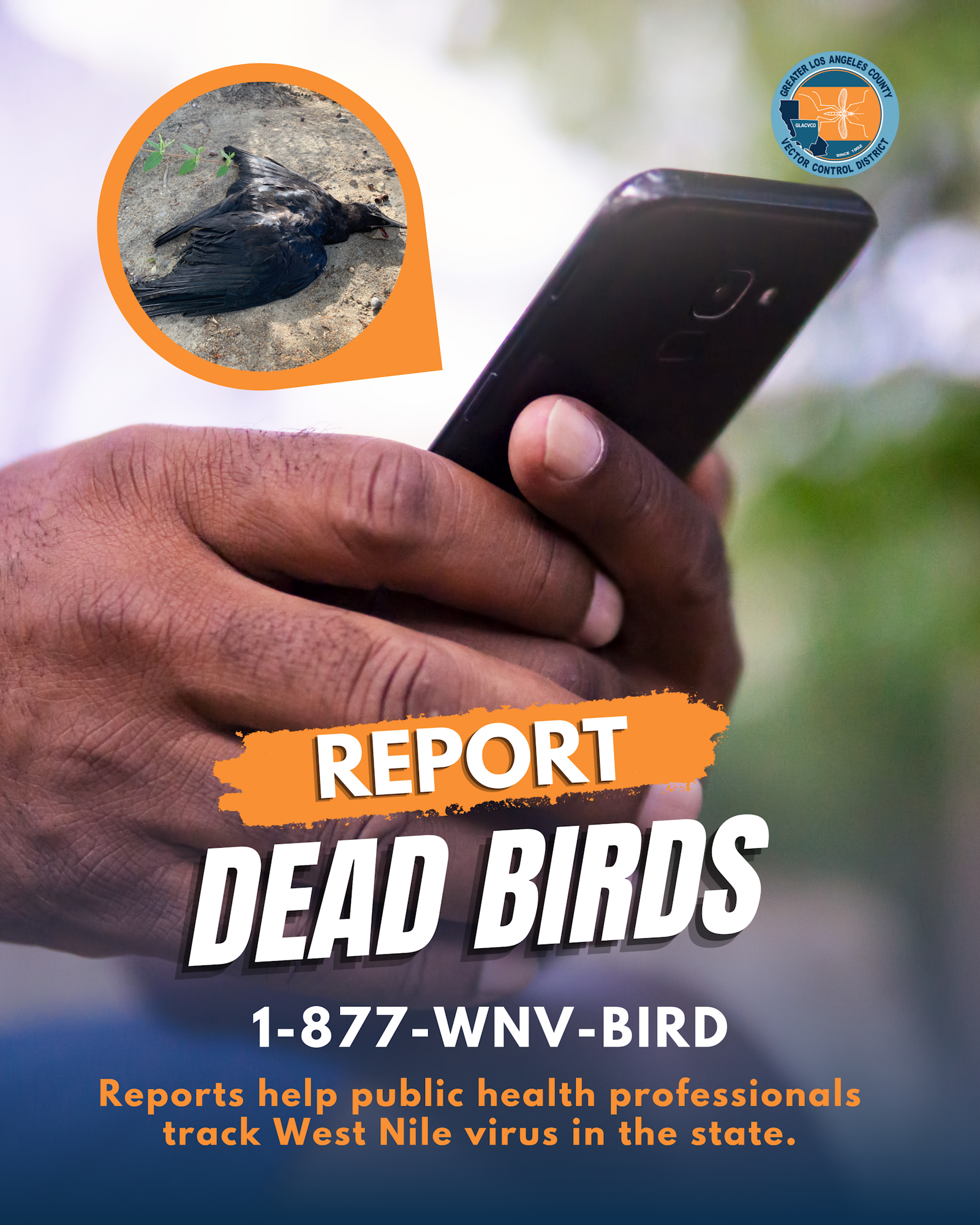 The image urges the public to report dead birds by calling 1-877-WNV-BIRD to help track West Nile virus.