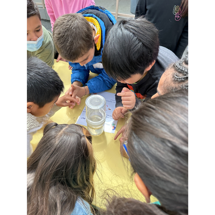 A group of children are gathered around a table, examining a jar of water and engaging in a hands-on learning activity.
