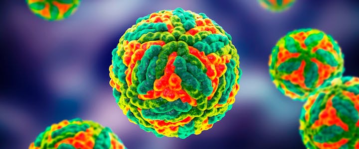 May contain: virus particle, pattern, and fractal