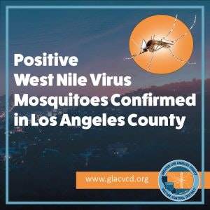 West Nile virus mosquitos confirmed in Los Angeles County