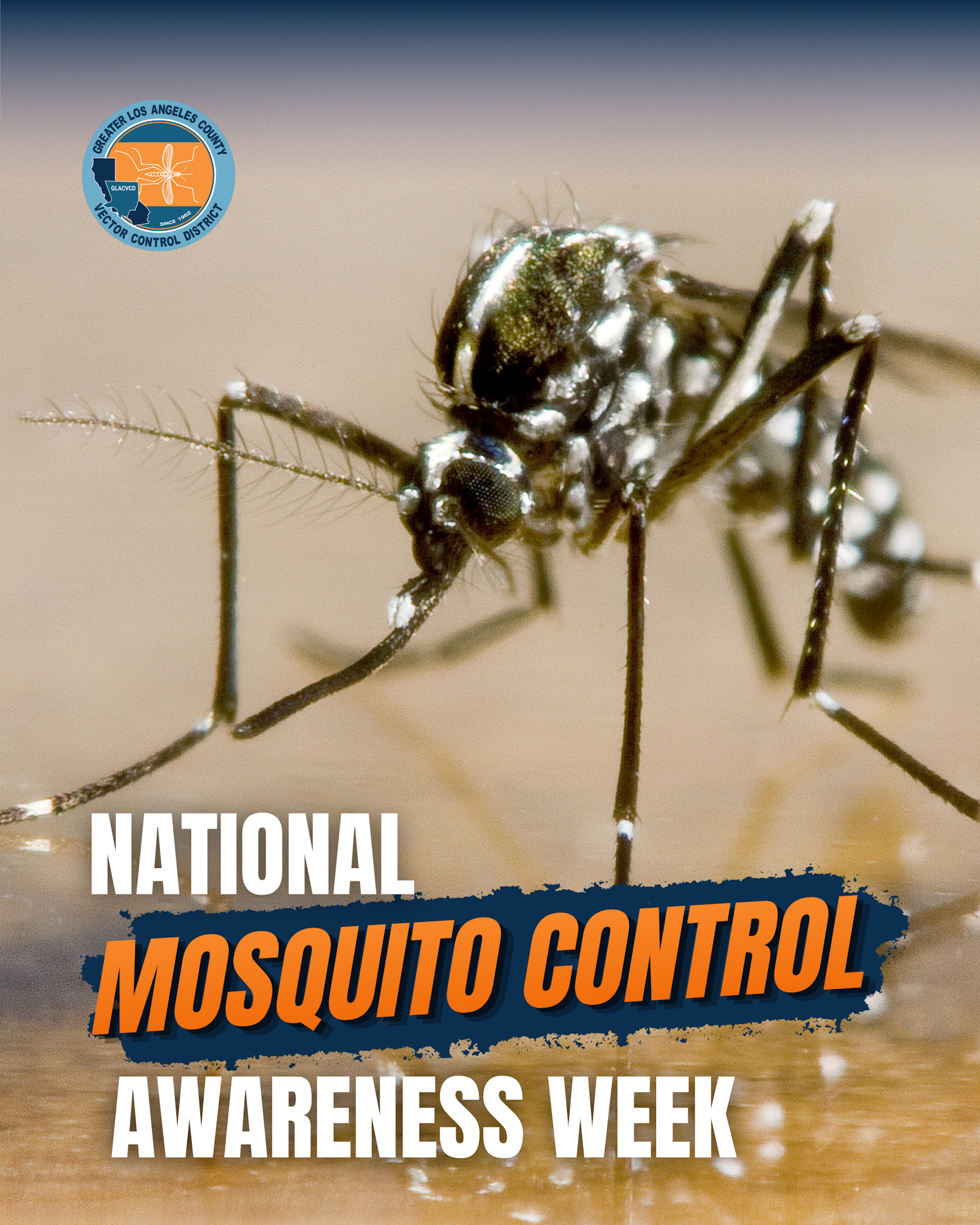 The image promotes National Mosquito Control Awareness Week featuring a close-up of a mosquito.