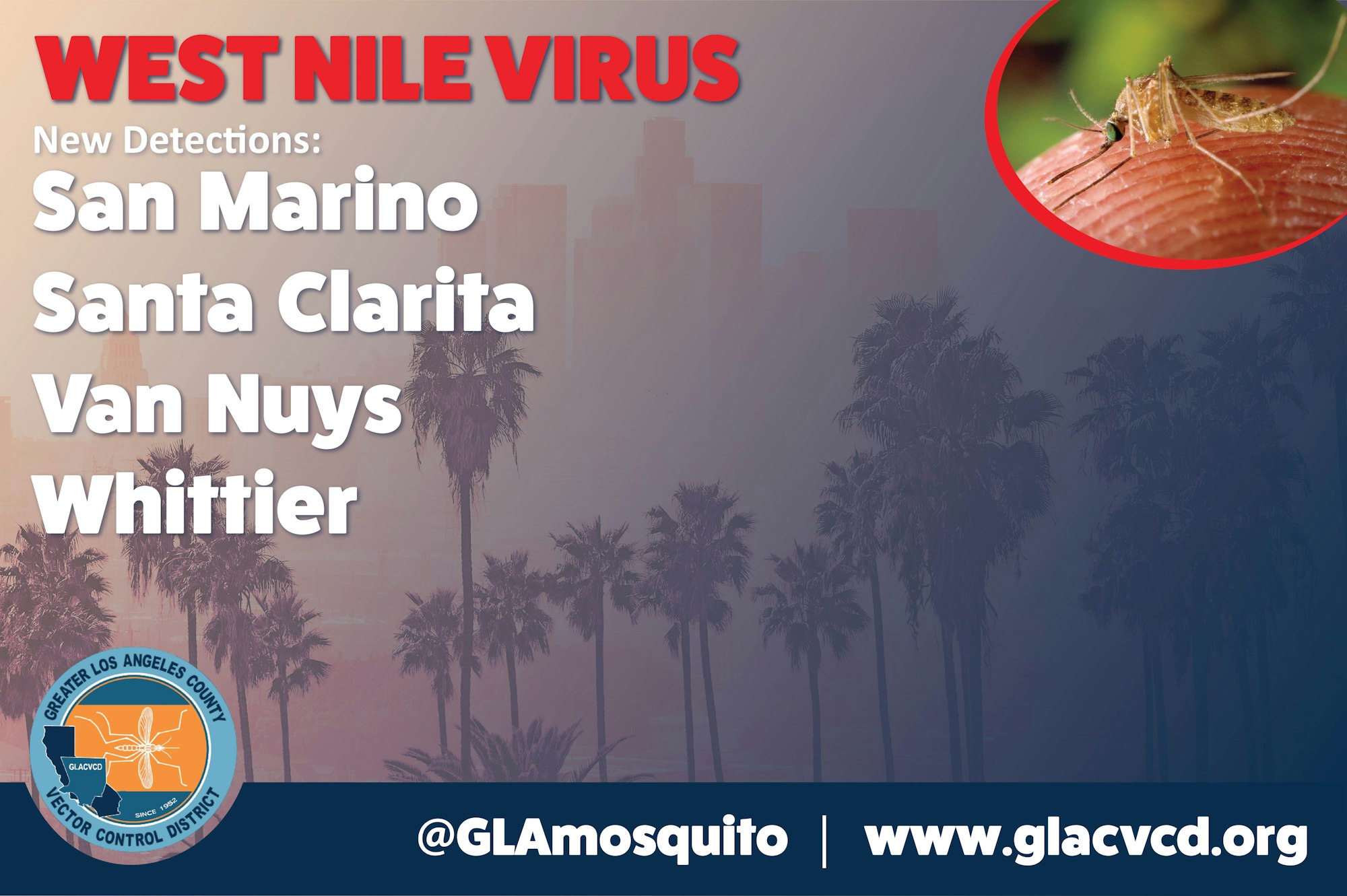 May contain: text, cities, cityscape, mosquito, west nile virus