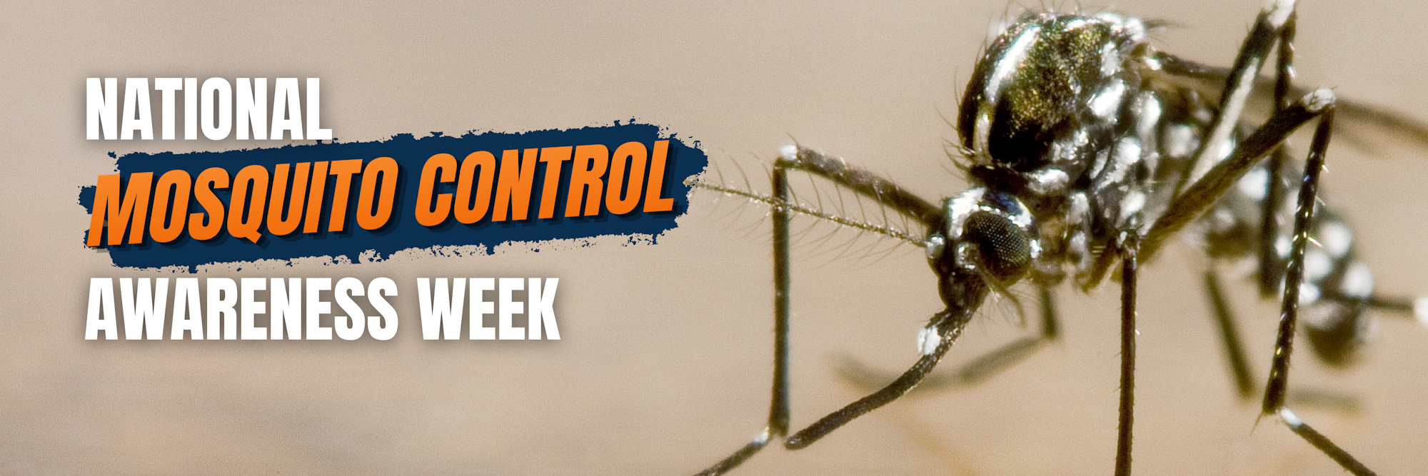The image promotes "National Mosquito Control Awareness Week" with a close-up of a mosquito.