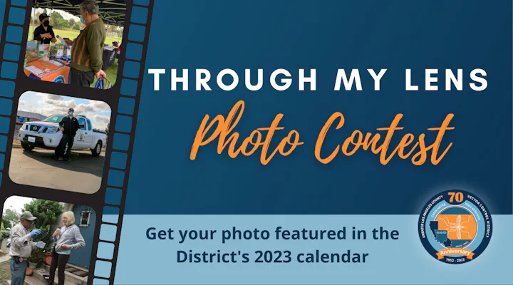 Promotional graphic for a photo contest titled "Through My Lens," inviting submissions for a district calendar.