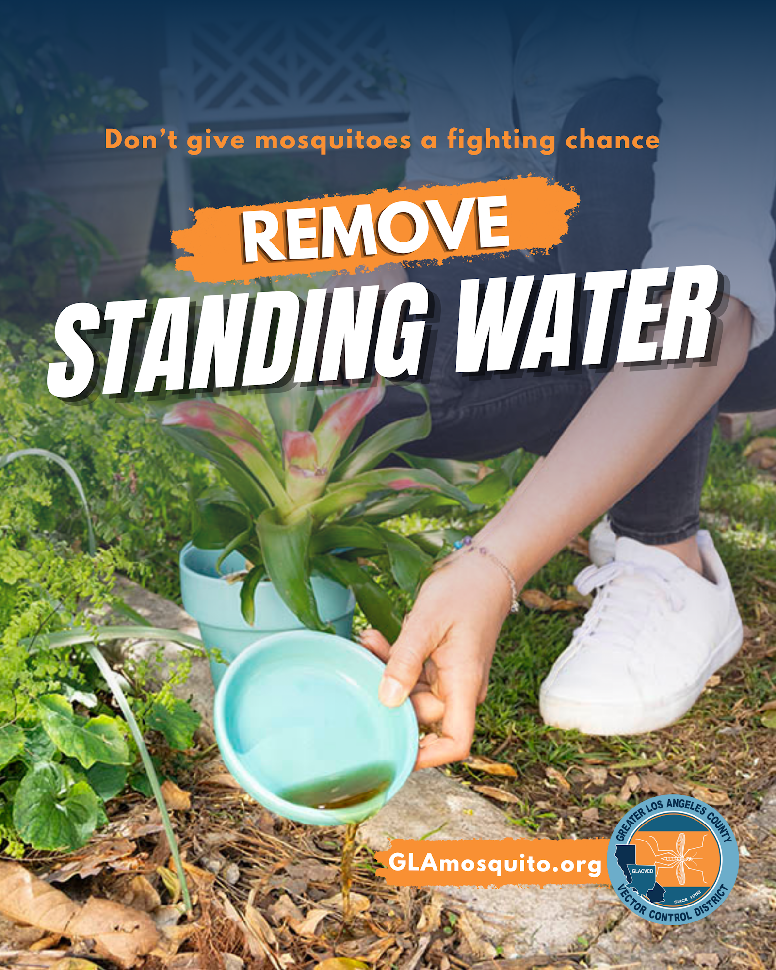 An informative image urging people to remove standing water to prevent mosquito breeding, featuring a person pouring water.