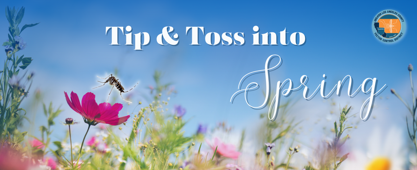 The image promotes spring cleaning tips to prevent mosquito breeding, featuring flowers and a clear blue sky.