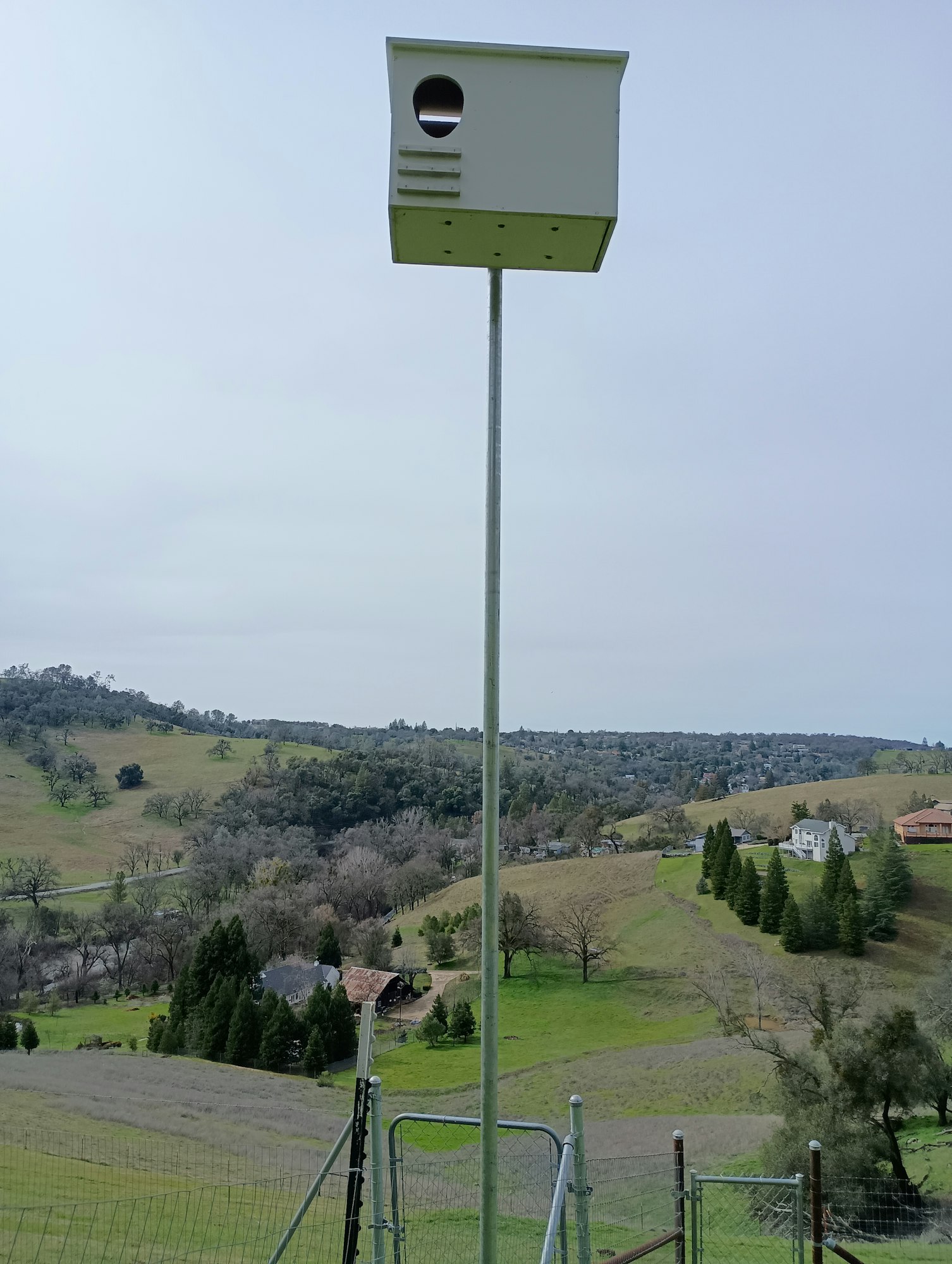 Birdhouse on a tall pole with a rural landscape of hills and trees in the background.