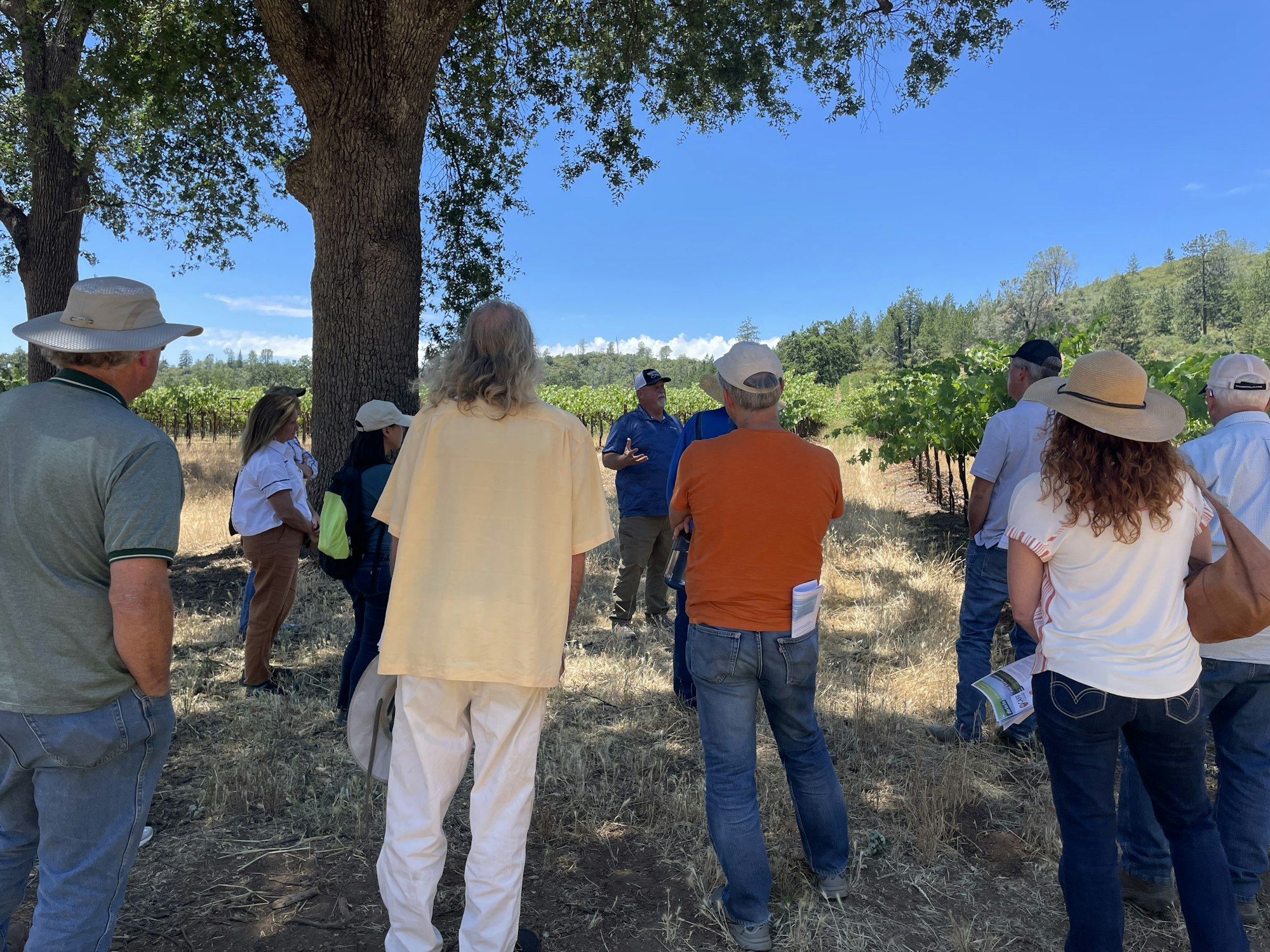 Group of people outdoors, possibly on a farm tour, with trees and vineyard in the background.