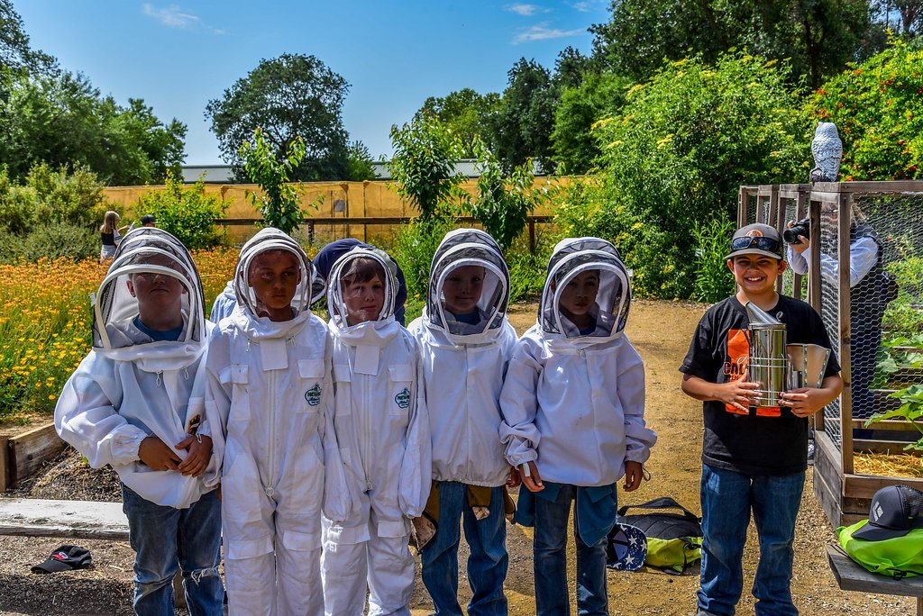 Children in bee keeper clothes posing for a photo