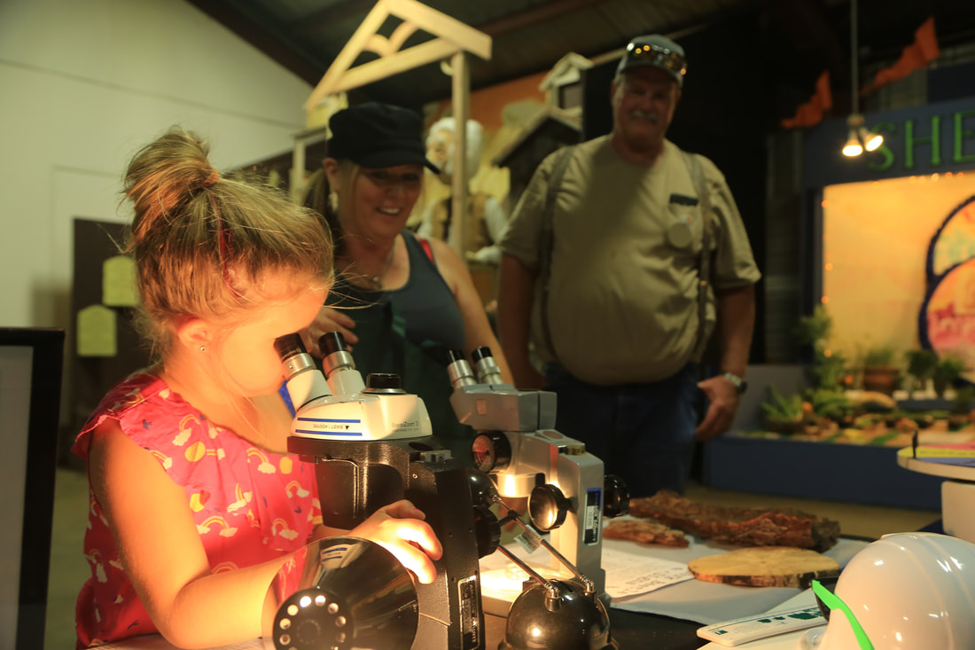 Photo of a child looking through a microscope with people looking at her