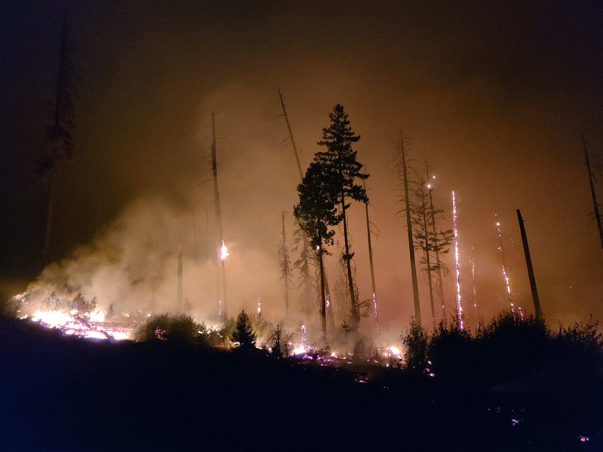 May contain: fire and forest fire