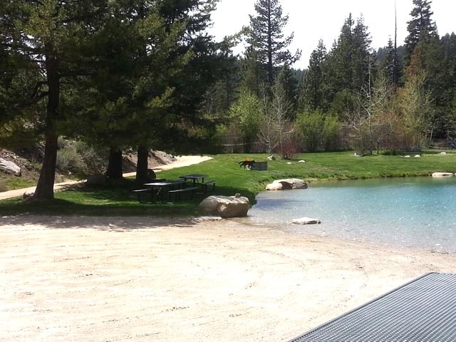 A tranquil lakeside scene with trees, picnic tables, sand, and clear water.