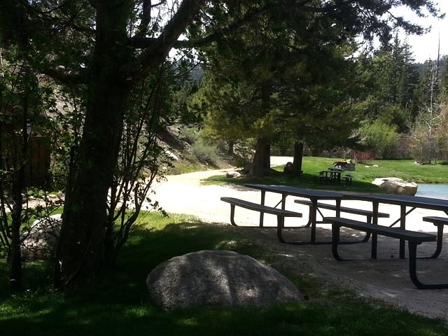Grassy park with trees, picnic tables, a large rock, and a dirt path under sunlight.