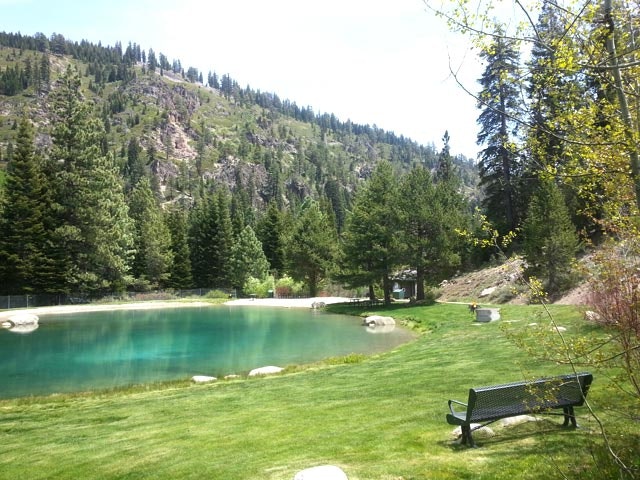 A serene pond surrounded by lush greenery, trees, a bench, and distant forested hills under a clear sky.