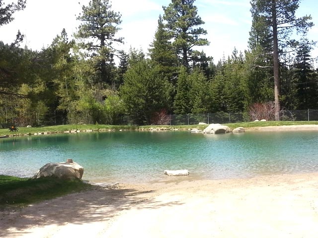 A serene pond surrounded by trees and rocks under a clear sky.