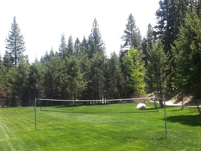 A grassy field with a volleyball net, surrounded by tall trees.
