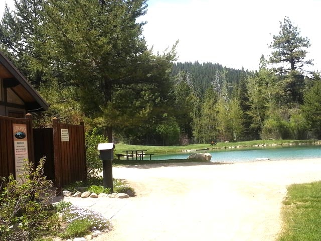 A serene park scene with trees, a small lake, a bench, and a wooden structure.