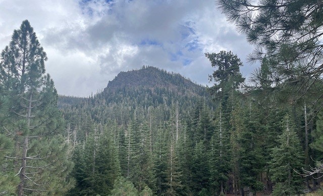 A forested mountain landscape under a cloudy sky.