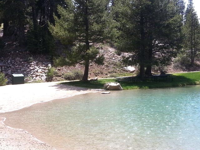 A small lake shore with trees, picnic tables, and a trash bin nearby.