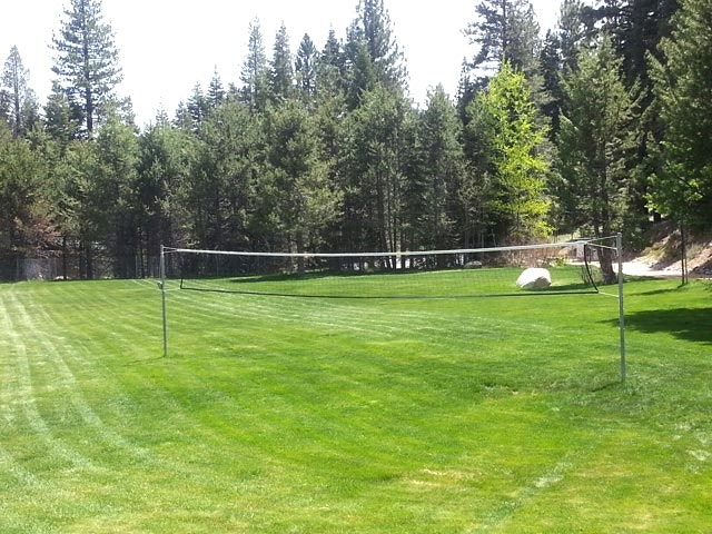A grassy clearing with a volleyball net and trees in the background.