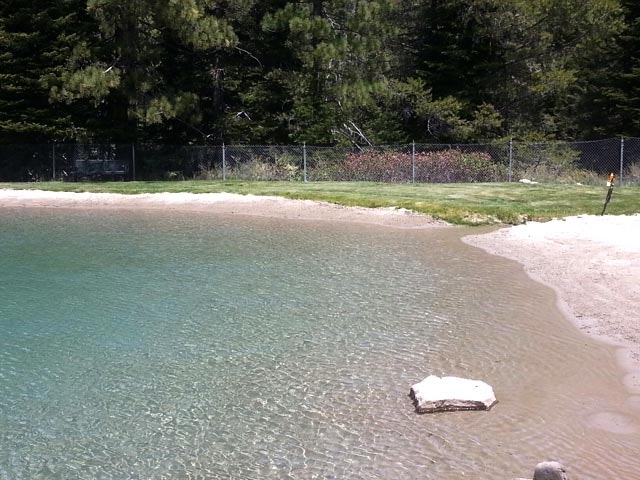 A serene pond with a sandy shore, surrounded by trees and a fence, under a clear sky.
