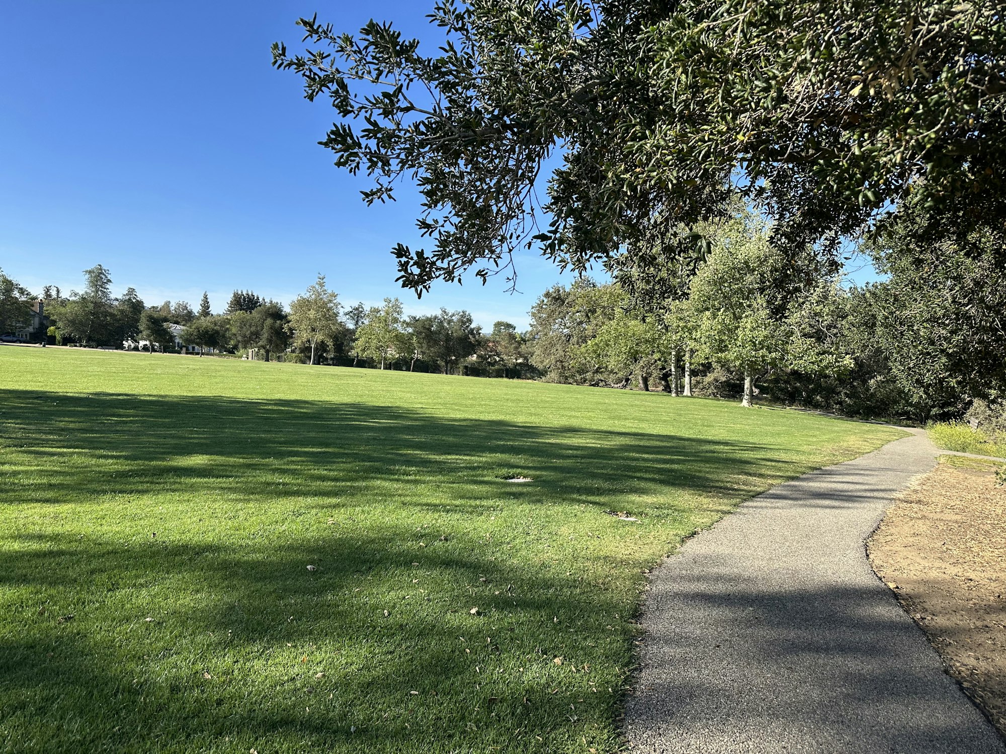 A scenic park featuring lush green grass, trees, and a paved walkway under a clear blue sky.