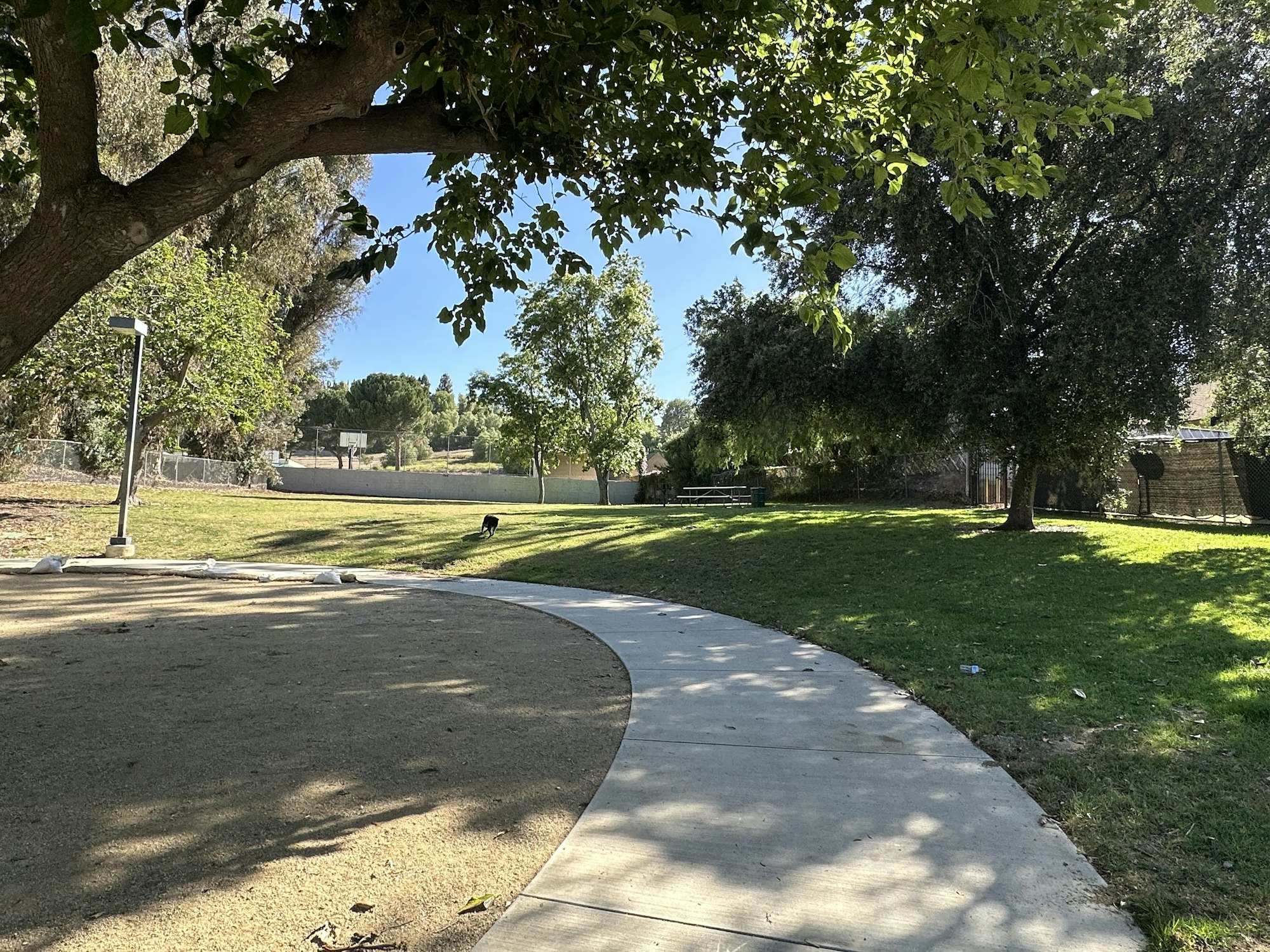 A sunny park scene featuring a curved path, greenery, trees, and a distant basketball hoop, with a dog in the grassy area.