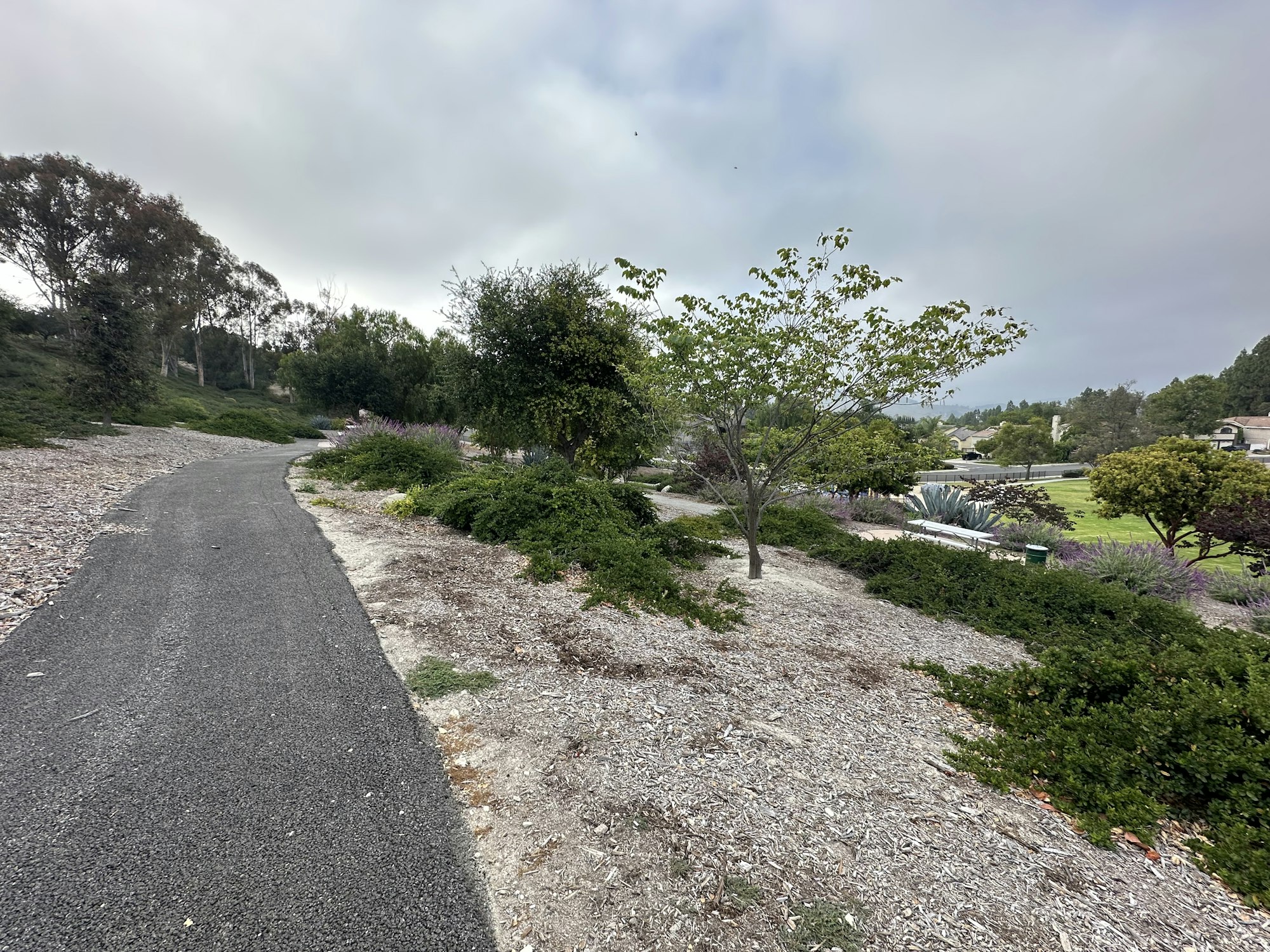 A winding path through a landscaped area with trees, shrubs, and cloudy skies, suggesting a peaceful outdoor setting.