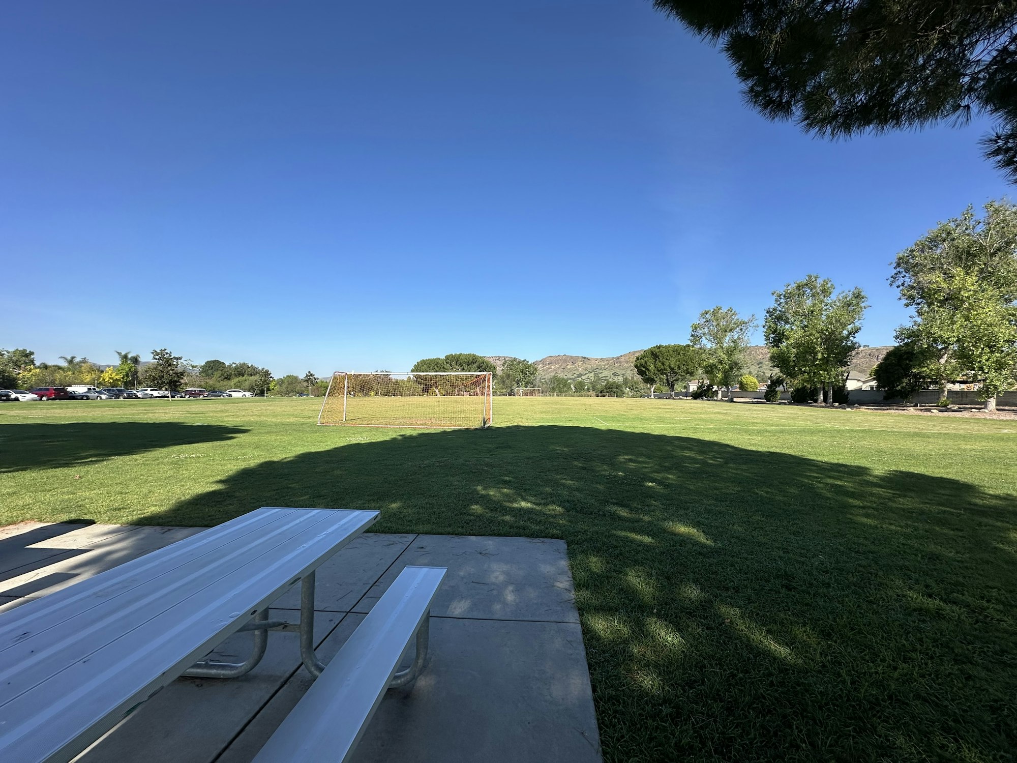 A sunny park scene with a soccer goal, grassy field, trees, and a picnic table, under a clear blue sky.