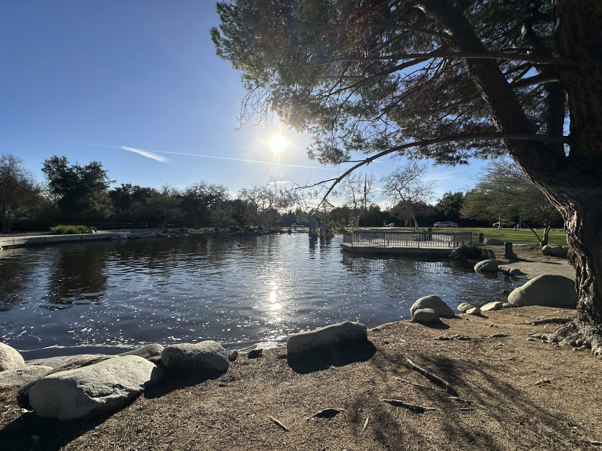 A scenic park with a pond, trees, rocks, and a sunny sky.