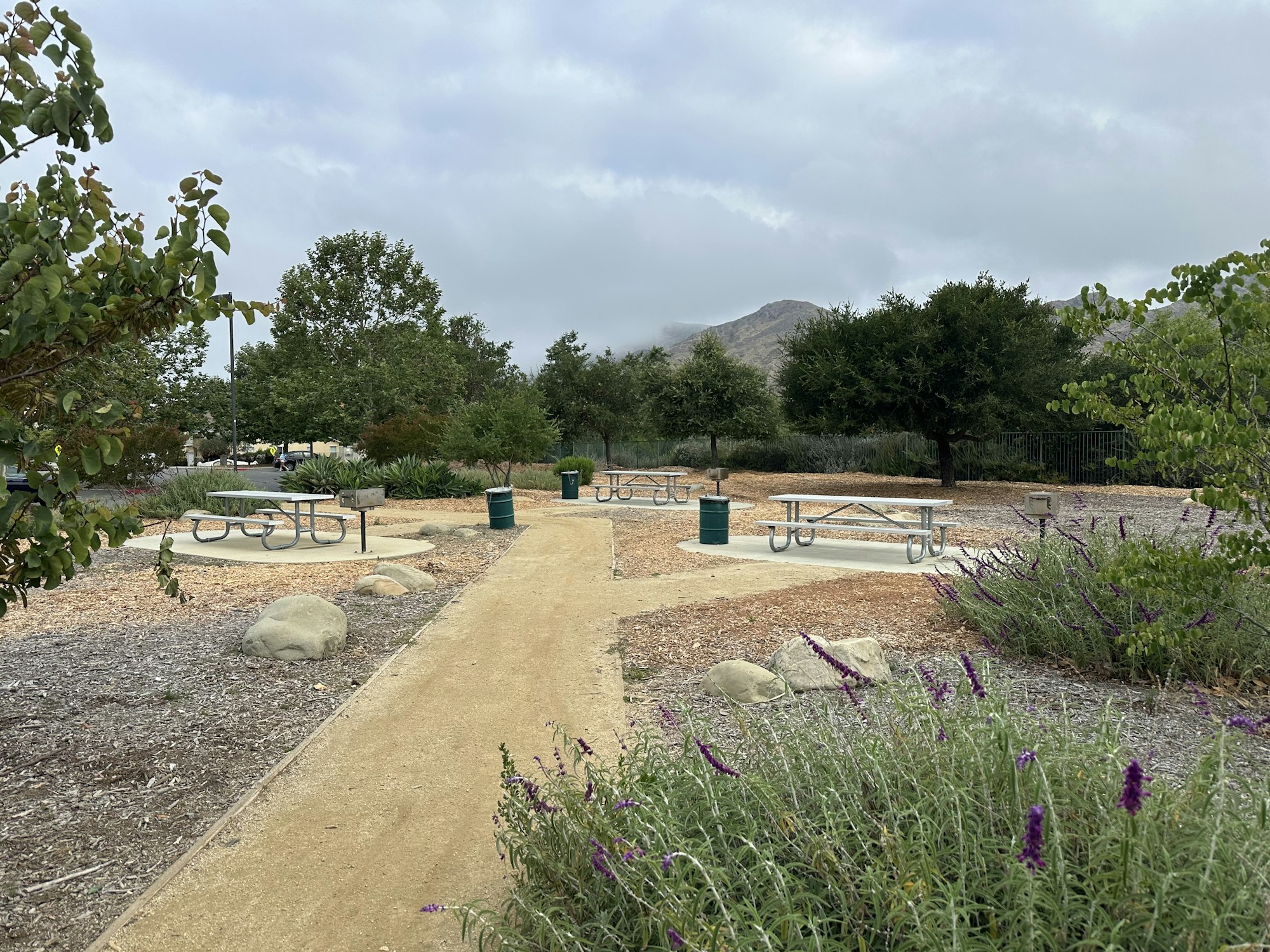 A serene park scene with picnic tables, walking paths, greenery, rocks, and purple flowers under a cloudy sky.