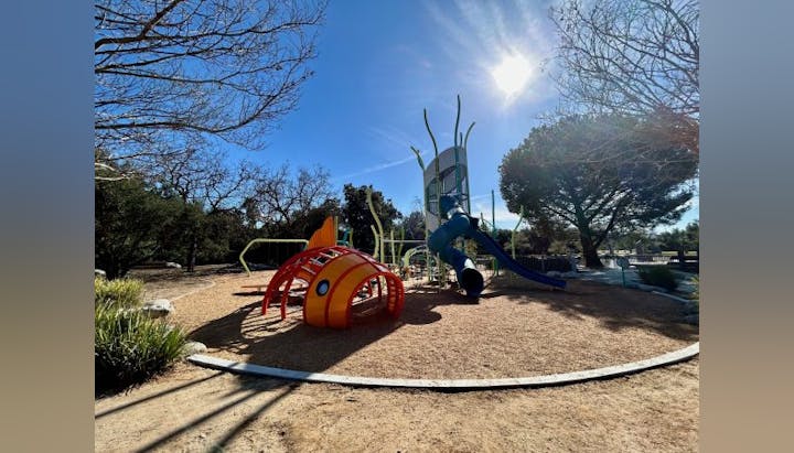 A playground with colorful climbing structures and slides under a sunny sky, surrounded by trees.