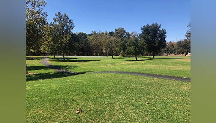 A grassy park with trees and a winding paved path under a clear blue sky.