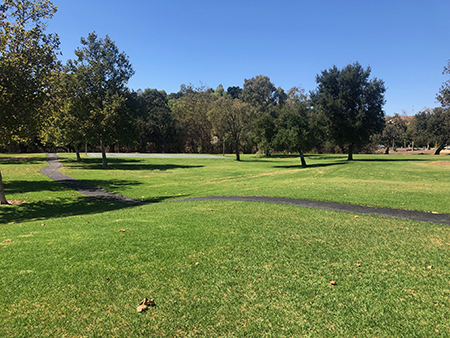 A grassy park with trees and a winding paved path under a clear blue sky.