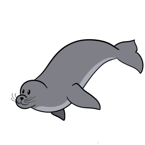 A cartoon-style seal swimming to the right.