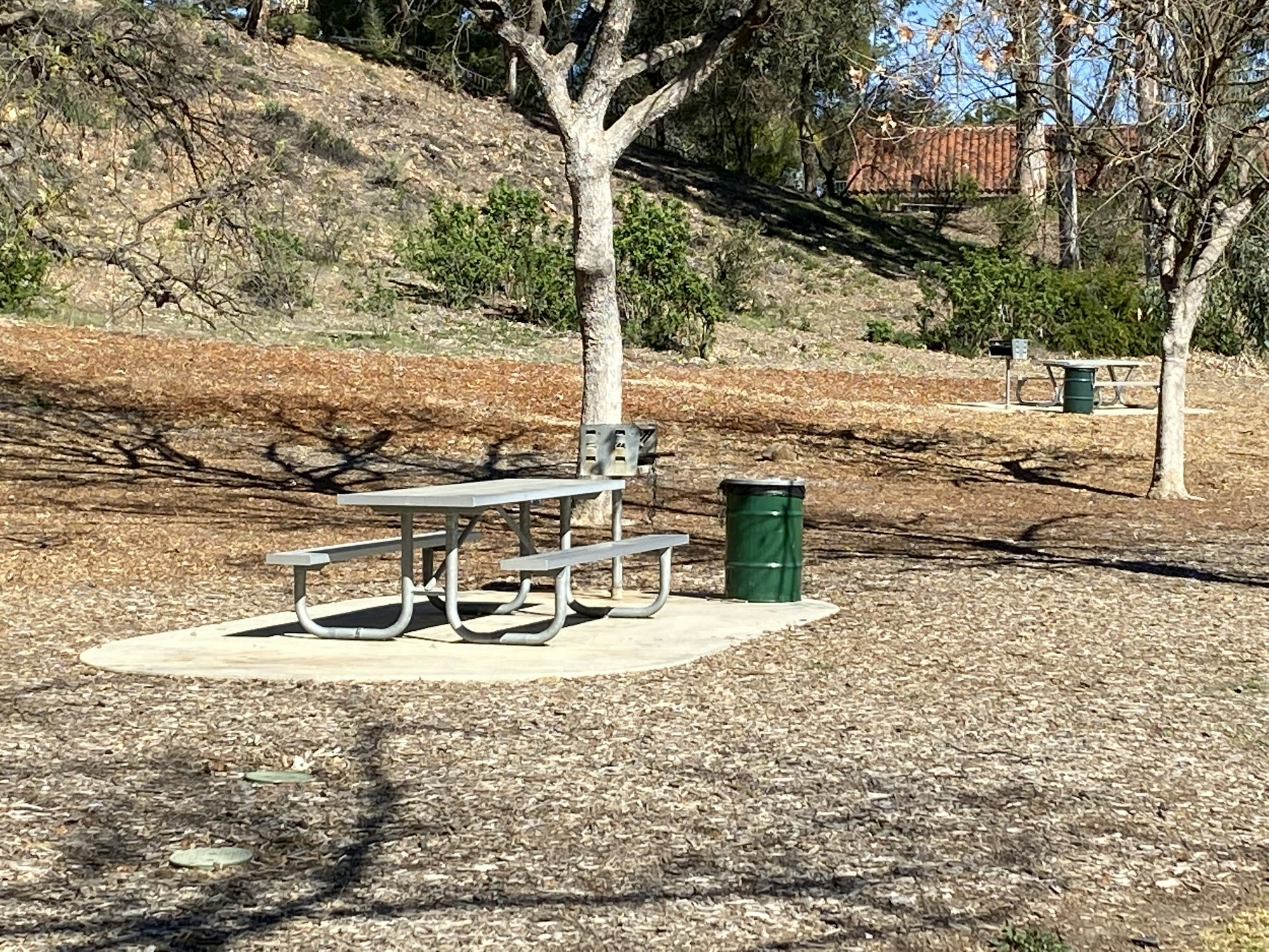 Picnic table and trash can in a park with trees and dirt ground.