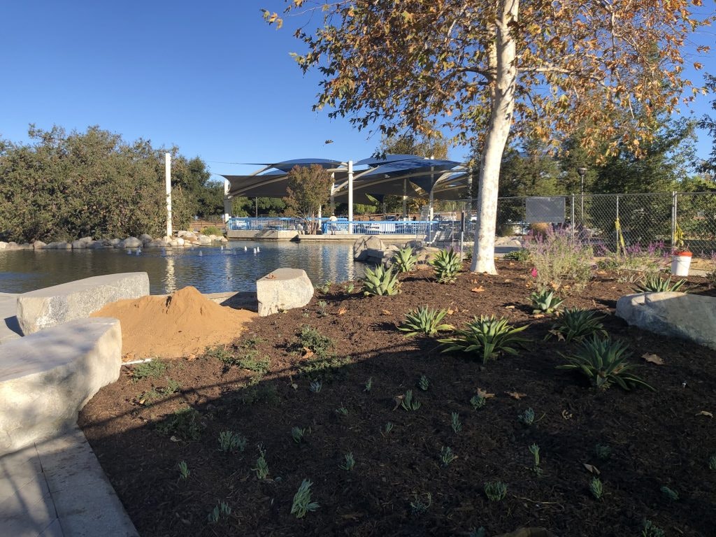 A landscaped area with young plants, dirt, and rocks near a pond, with a large tree and a shaded structure in the background.