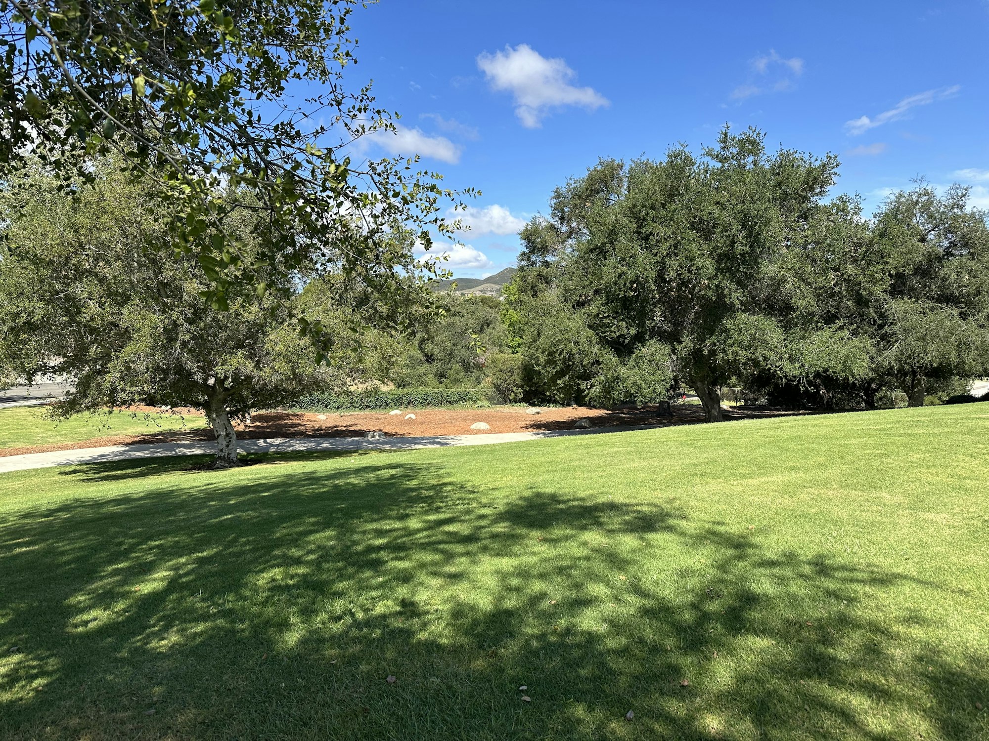 A scenic outdoor area with lush green grass, trees, and a blue sky with a few clouds. Perfect for relaxation!