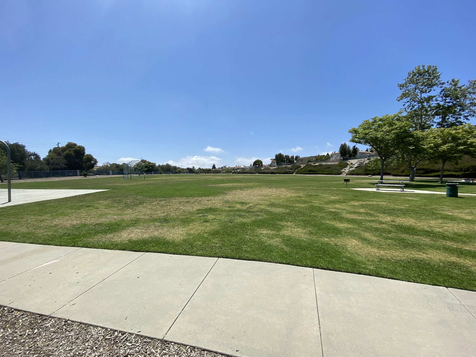 Open grassy park with a few trees, a bench, a path, and a clear blue sky.