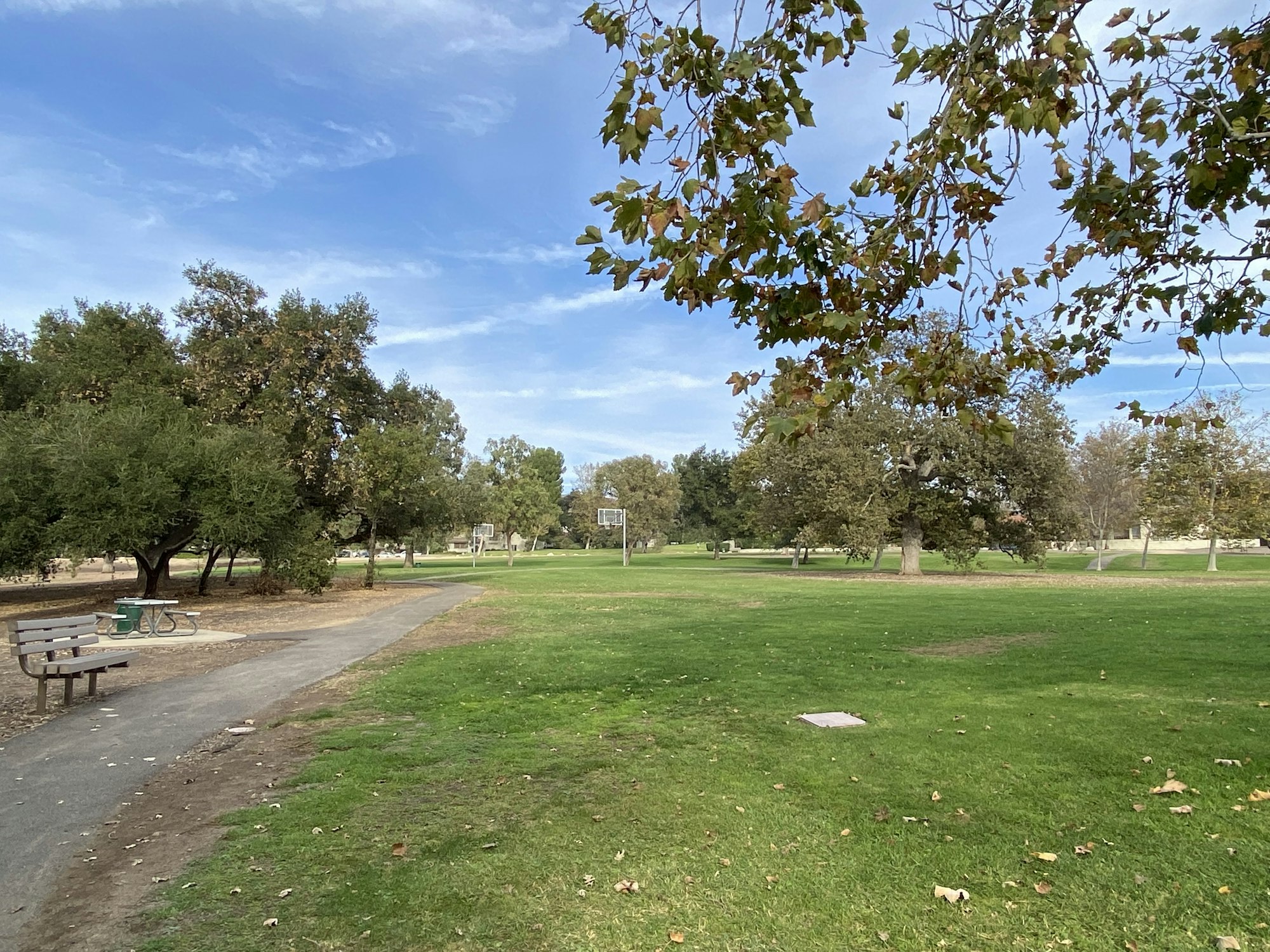 A park with trees, grassy fields, a walking path, bench, picnic table, and basketball hoops under a blue sky.