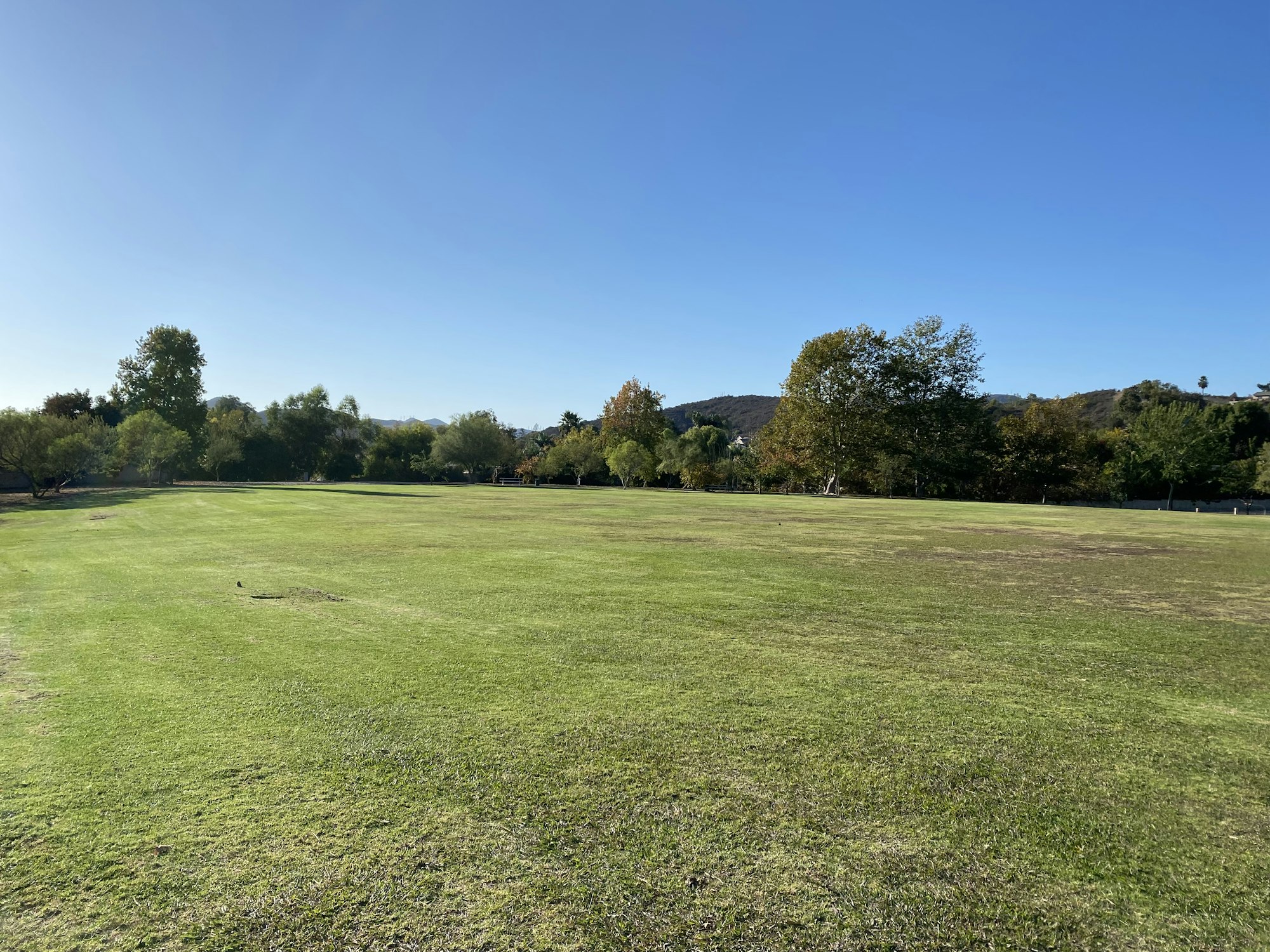 May contain: grass, plant, field, ground, nature, outdoors, park, and lawn