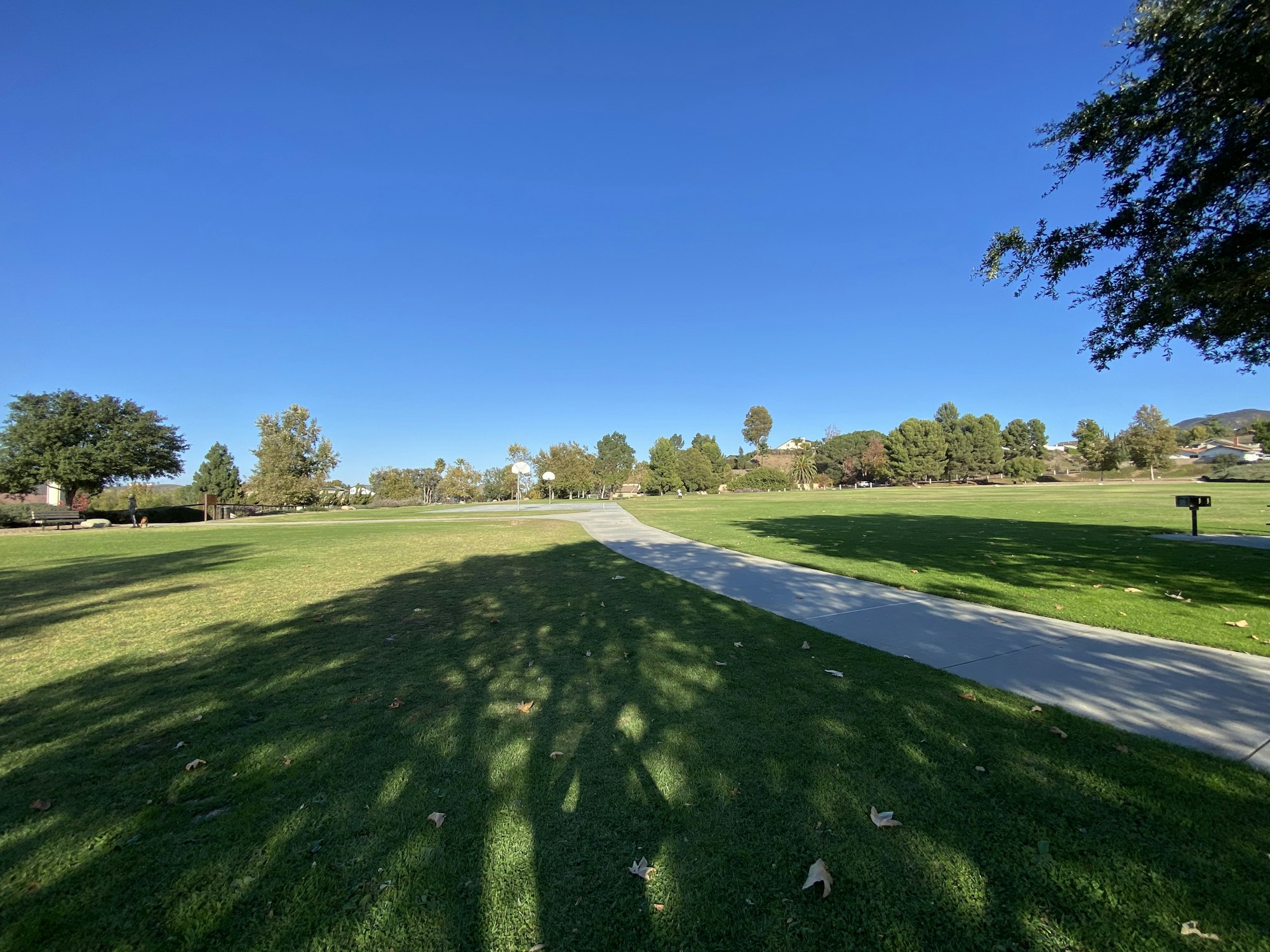 A sunny park with a pathway, grass, trees, and a blue sky.
