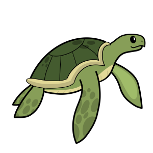 A cartoon green sea turtle with a patterned shell and flippers.