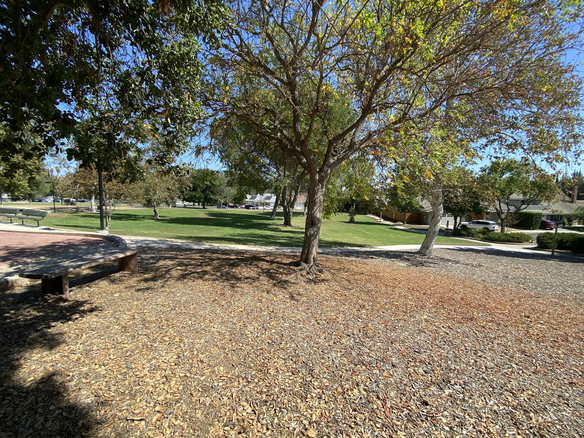 A park scene with trees, grass, a pathway, benches, and scattered leaves under a clear blue sky.