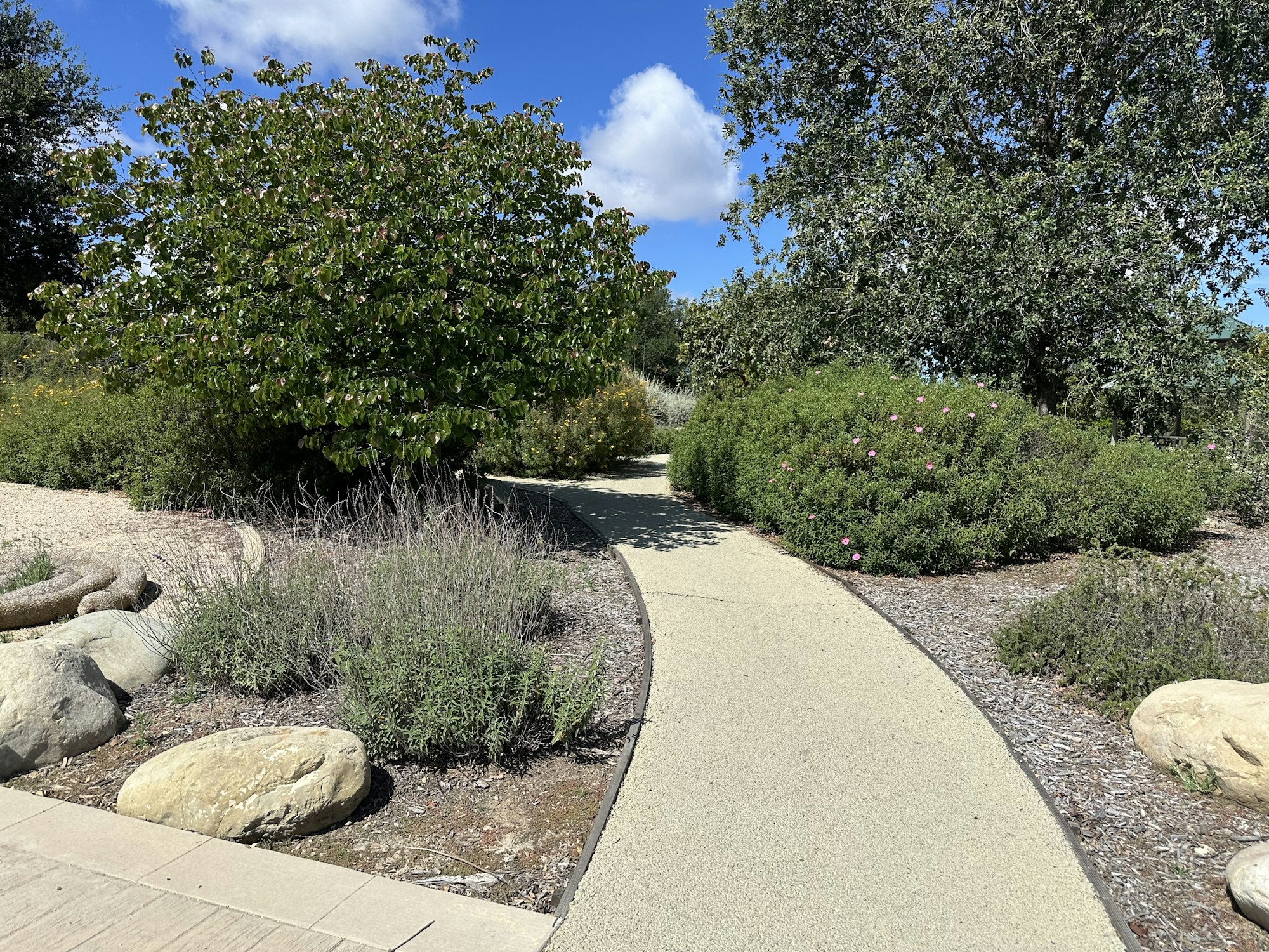A winding pathway surrounded by lush green bushes, trees, and rocks under a clear blue sky.