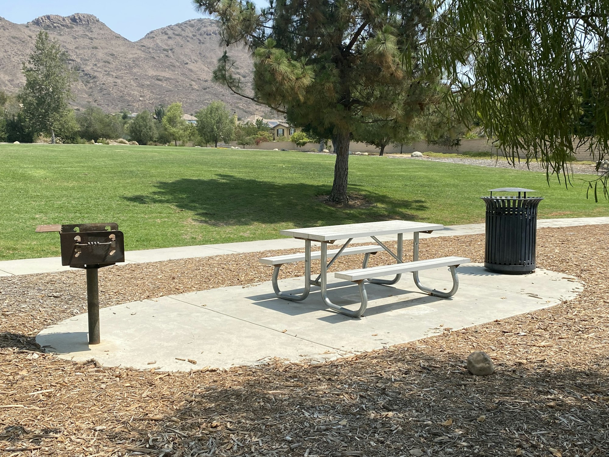 Picnic table, trash can, and grill on concrete pad in a park with trees and mountains in the background.