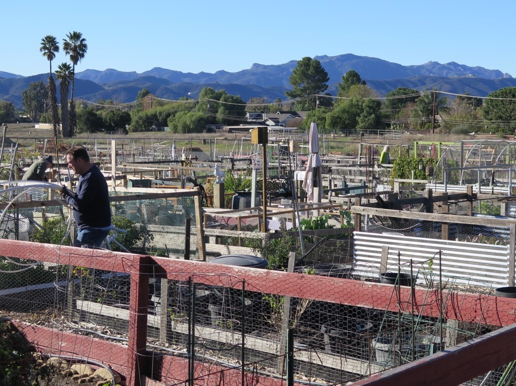 Community garden with people tending to plants, surrounded by wooden fences and mountains in the background.
