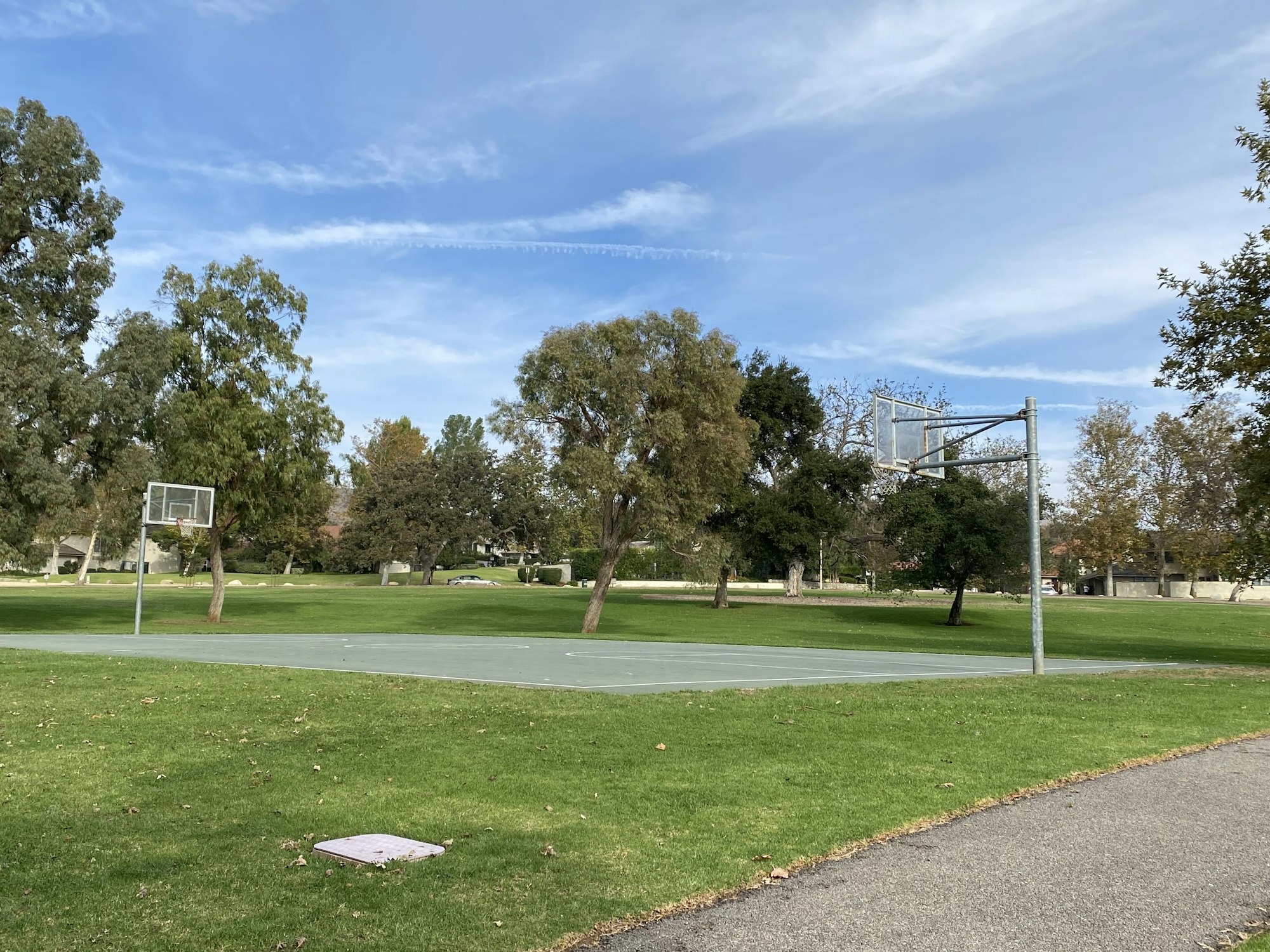 Basketball court in a park with trees and a clear blue sky.
