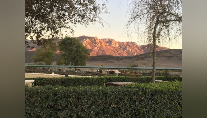 Landscape with dry trees, hedges, and distant mountains at sunset.